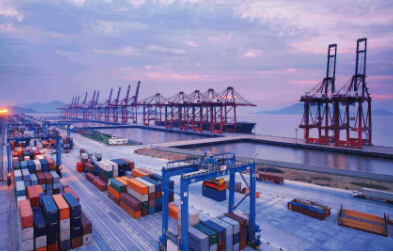 進口報關代理運營業務數據的五大重要性